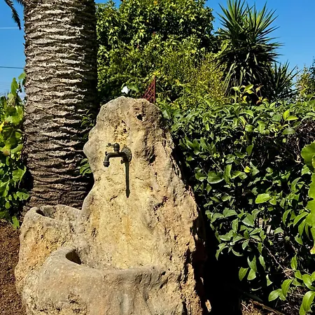 Pami 公寓 Almiros Beach